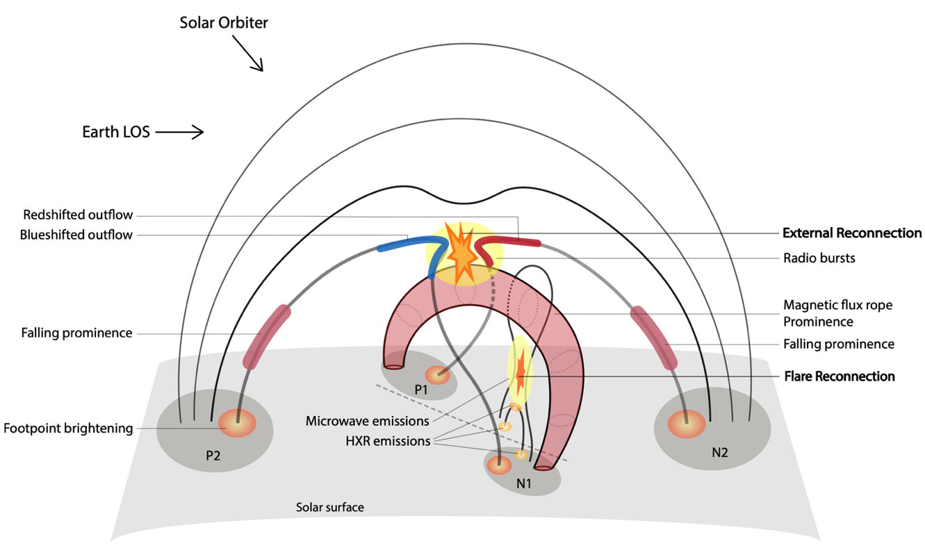 Schematic of the failed eruption in a multipolar magnetic topology. It distinguishes flare reconnection below the magnetic flux rope from external reconnection above it and labels radio bursts, outflows, footpoint brightening, microwave and hard X-ray emission, and displaced prominence material.